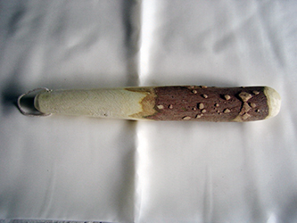 Sサイズ(20cm)
